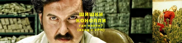 шишки Алексин