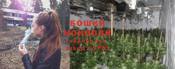 spice Арсеньев