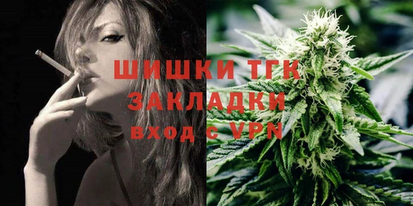 шишки Алексин