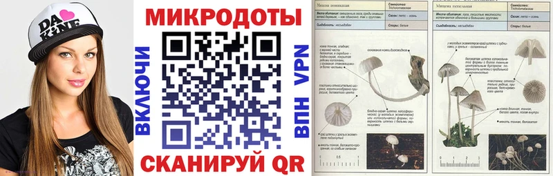 shop состав Усинск Псилоцибиновые грибы мухоморы даркнет сайт
